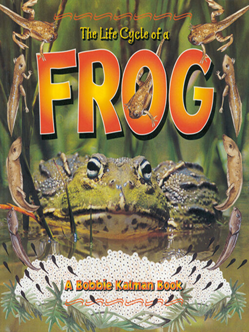 Title details for The Life Cycle of a Frog by Bobbie Kalman - Available